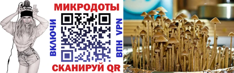 Галлюциногенные грибы MAGIC MUSHROOMS Воркута